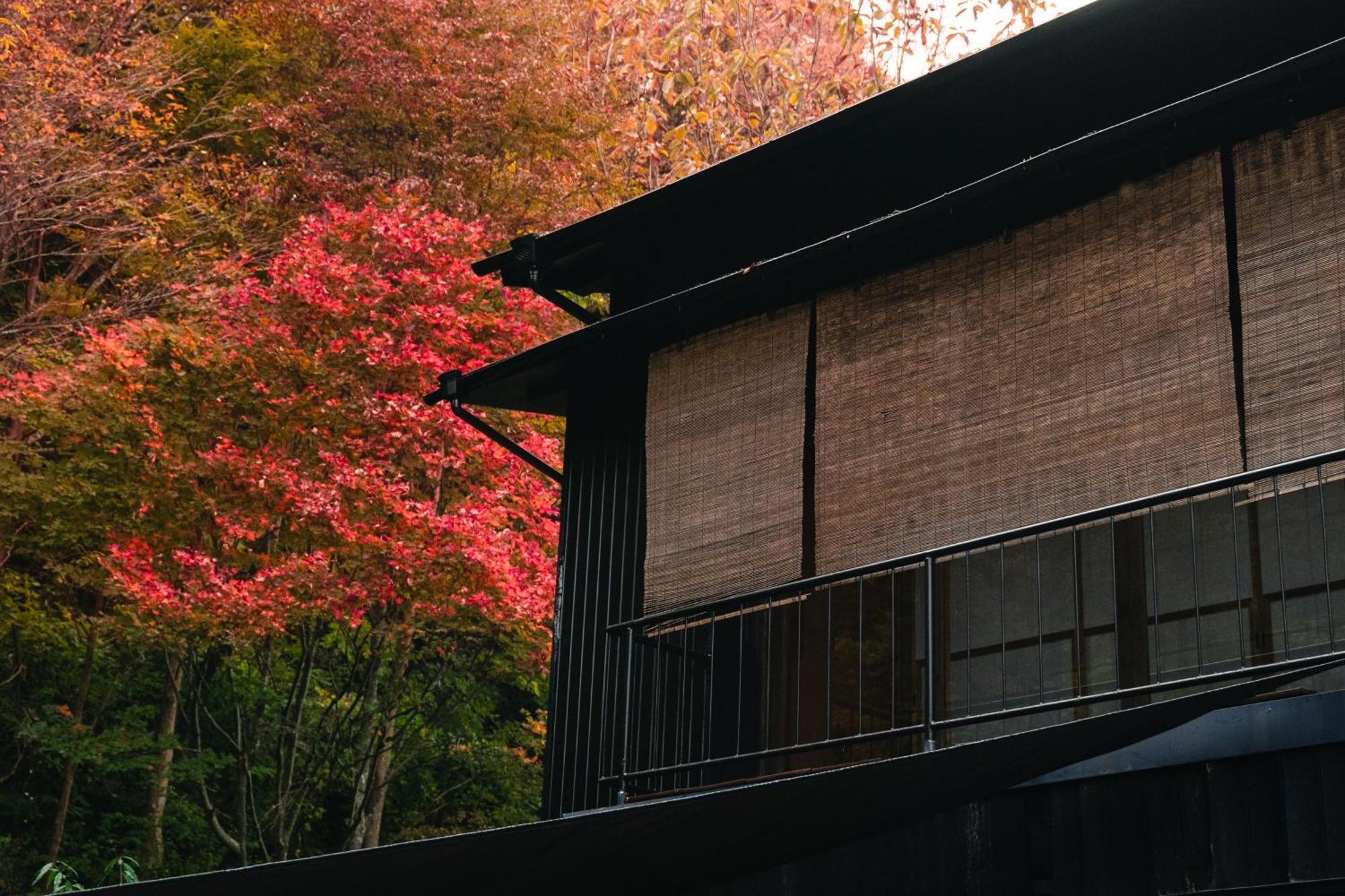 Mysa Hakone Villa Bagian luar foto